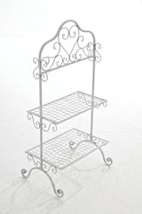 CLP Regal Winni