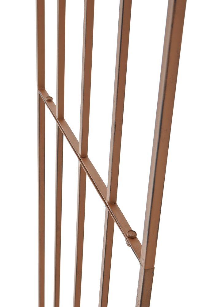 CLP Rosenbogen BIG Jasmin – Produktabbildung 7