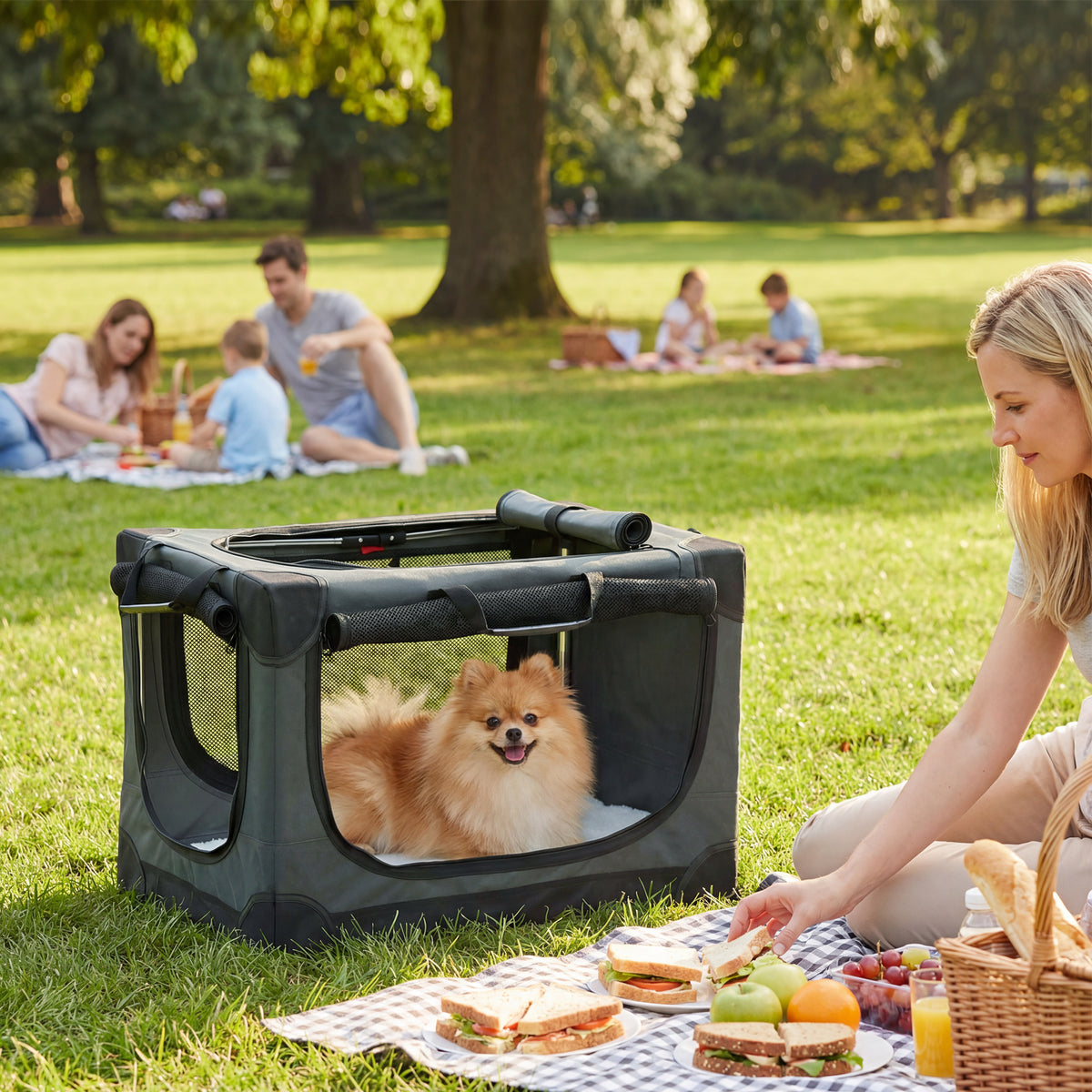 Foldable dog crate, dog transport box with removable, washable cushion, Oxford fabric cover, for dogs up to 4kg (2)