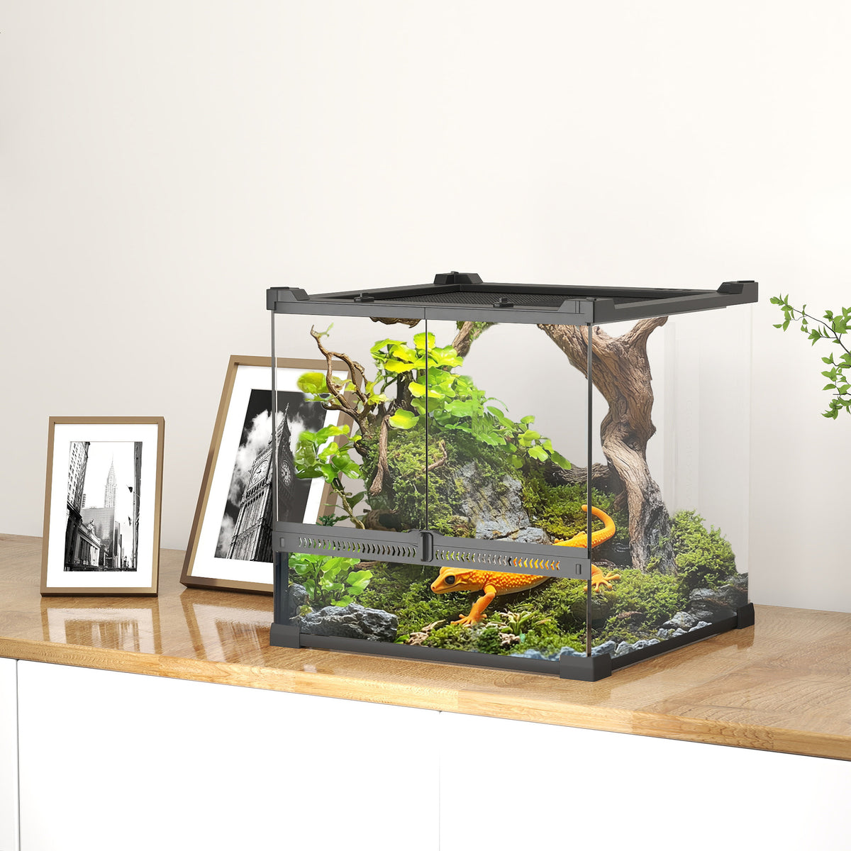 PawHut Glas-Terrarium für Reptilien, erhöhter & wasserdichter Boden, Knopfschloss – Produktabbildung 2