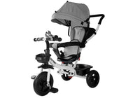 LEAN Toys Dreirad PRO300 Grau