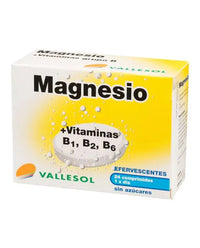 Vallesol Magnesio B Efervescente 24comp