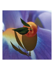 Loewe Solo Elixir 50ml Spray