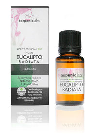 Terpenic Eucalyptus Radiata 10ml Organic