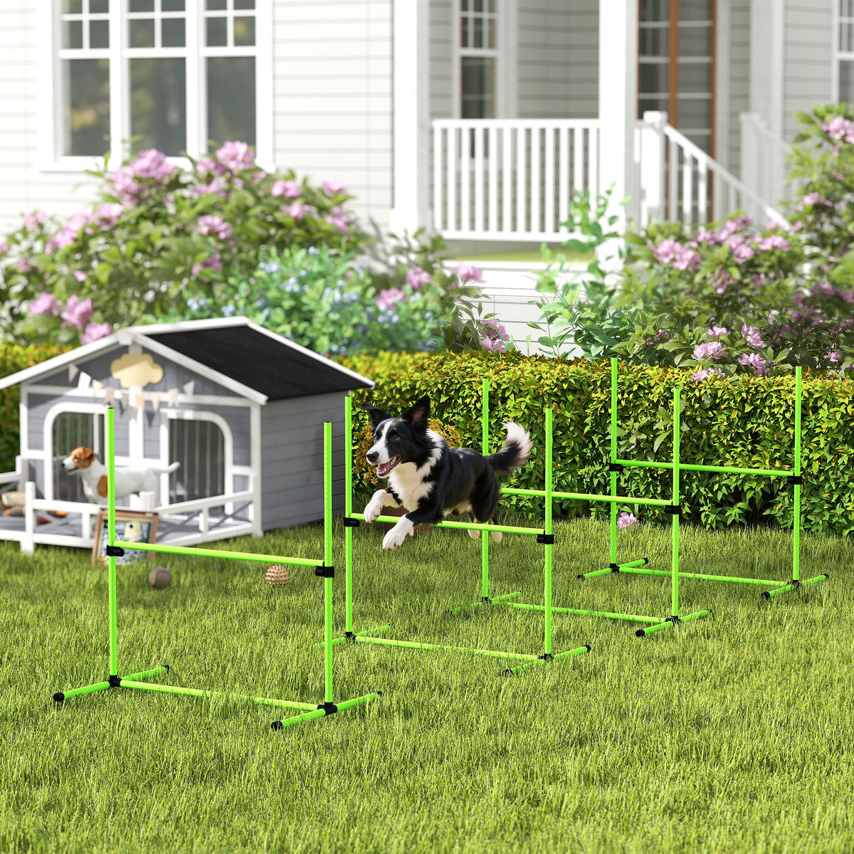 PawHut Agility Set Hunde 4-teiliges höhenverstellbar Agility-Ausrüstung mit 4 Hürden Tragetasche 99 x 65 – Produktabbildung 2