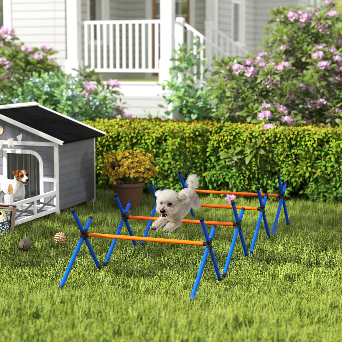 PawHut Agility Set Hunde, 4-teiliges Agility Ausrüstung mit Hürden, Tragetasche Höhenverstellbar – Produktabbildung 2