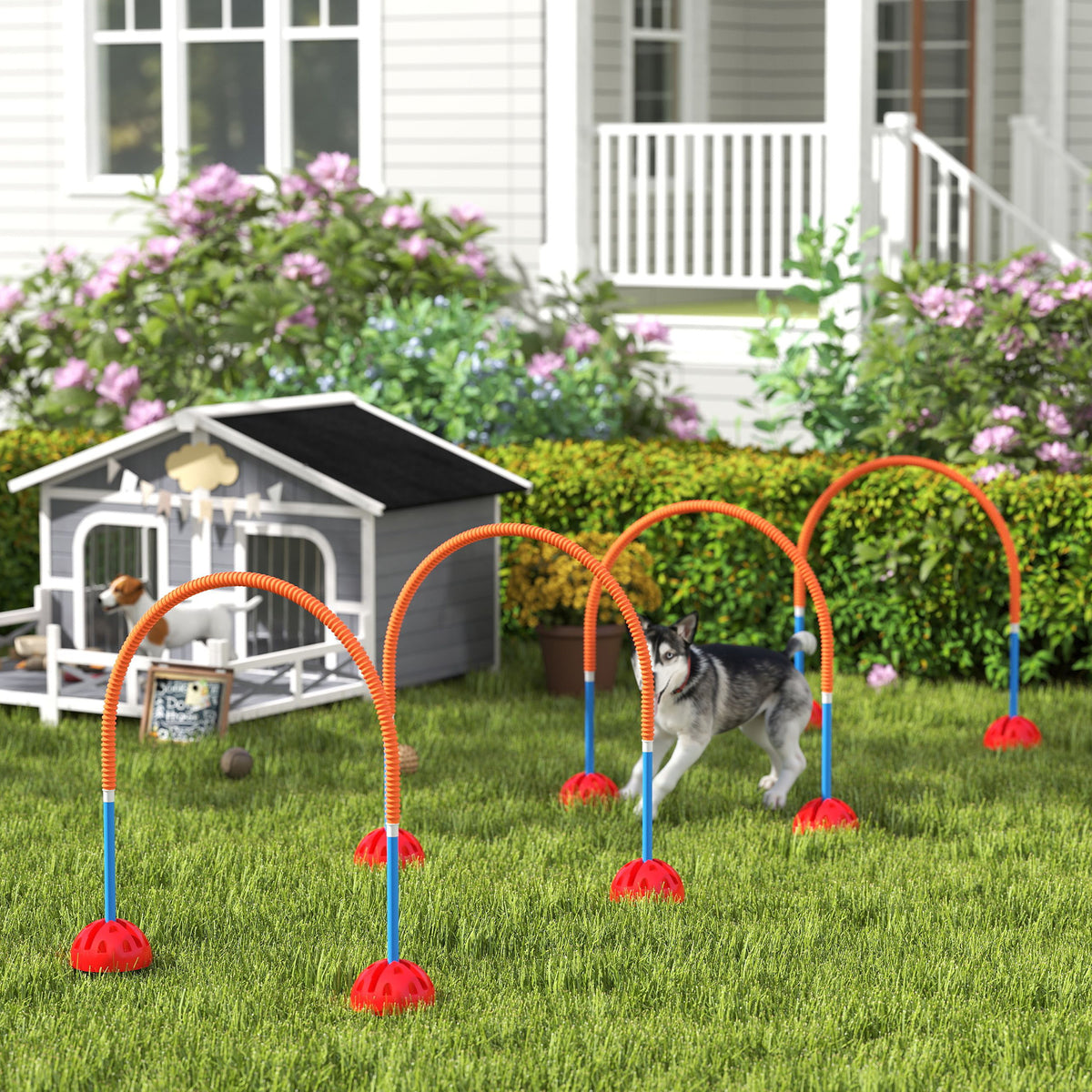 PawHut 4-teiliges Hunde-Agility-Trainingsgerät mit 4 Türen in verstellbarer Breite, Tragetasche, für – Produktabbildung 2