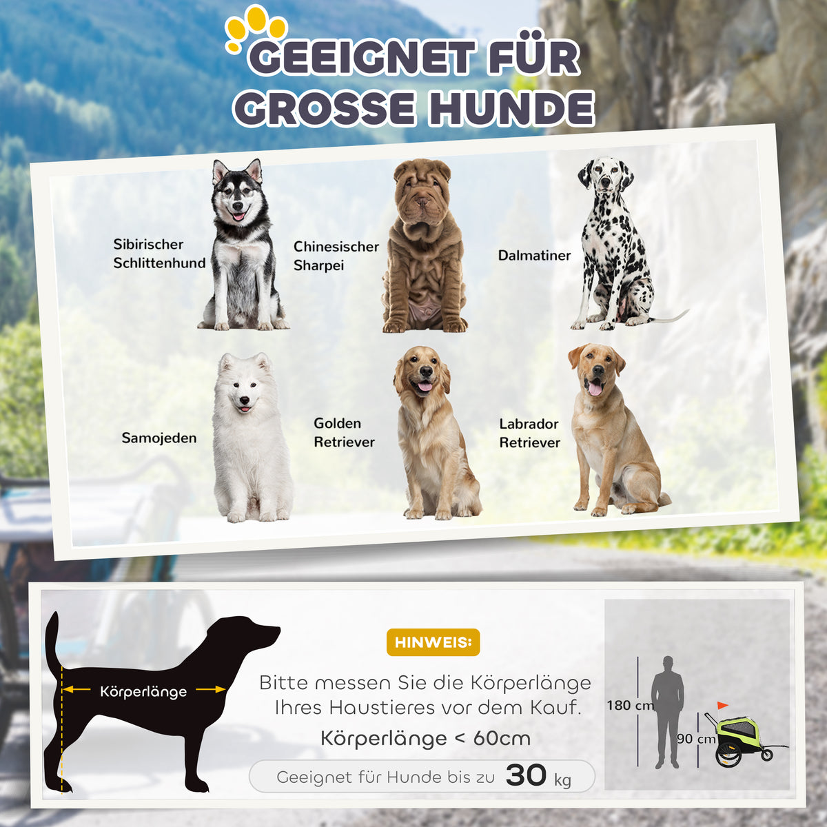 PawHut 2in1 Hundeanhänger, Schiebefunktion, 2 Eingänge, Netzfenster, Sonnenschutz, Stahlrahmen, grün – Produktabbildung 5