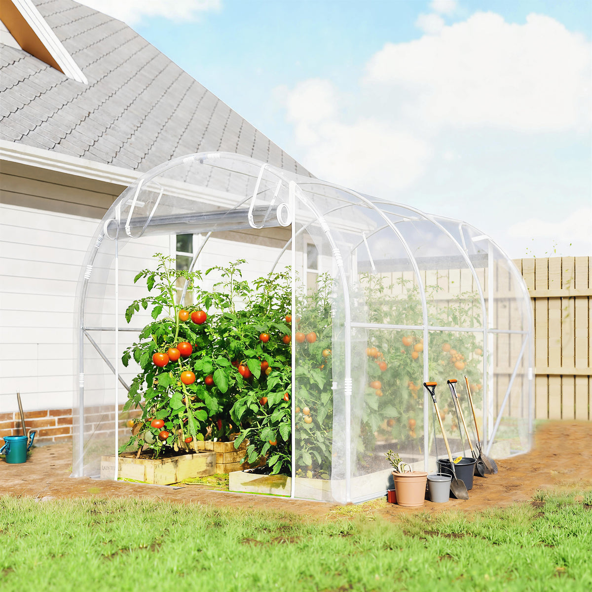 Polytunnel greenhouse, walk-in greenhouse with galvanized steel frame and UV-resistant PE cover, transparent (2)