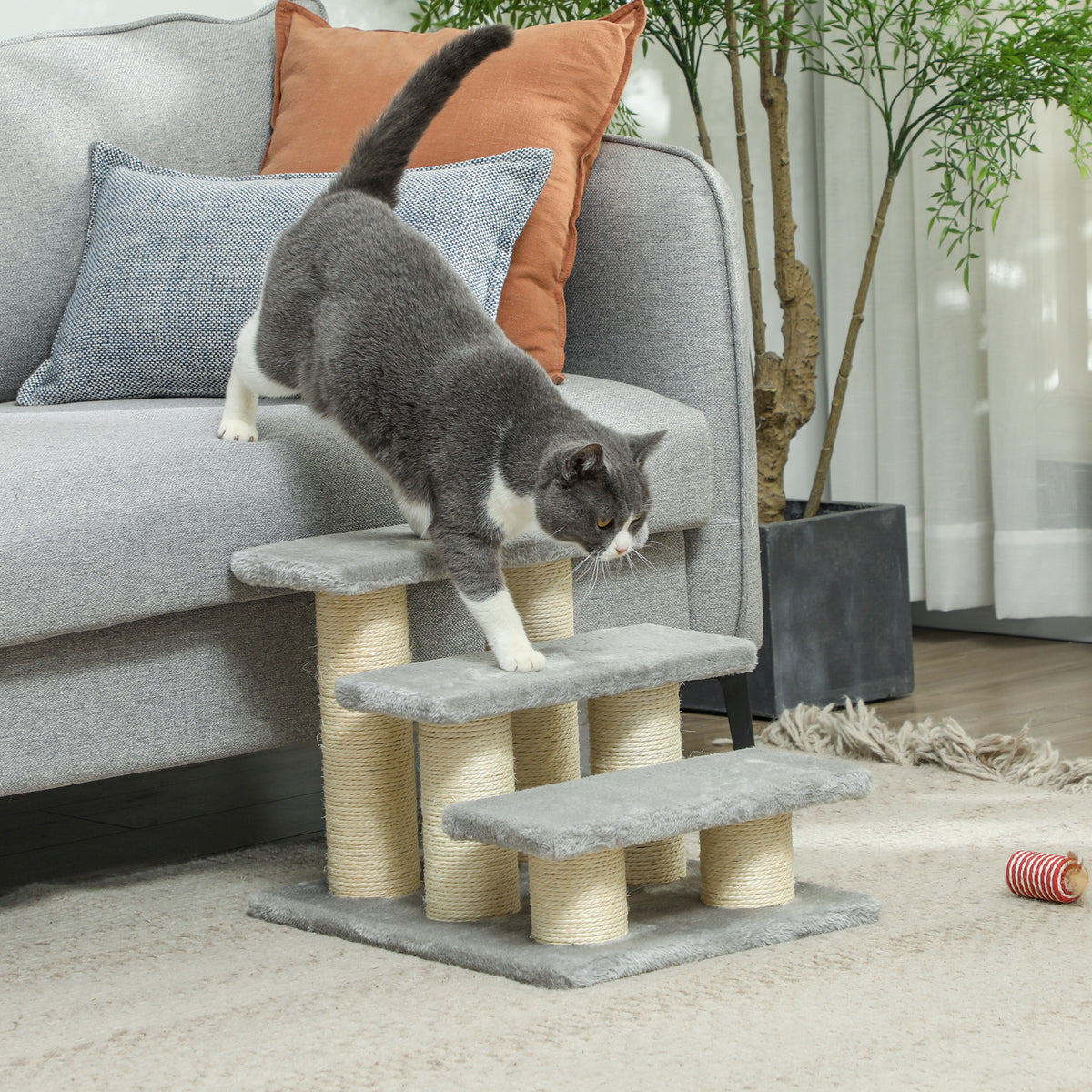 PawHut Hundetreppe 3 Stufen 34 cm Hoch Haustiertreppe für Katze Hunde Katzentreppe Einstiegshilfe für – Produktabbildung 2