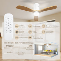 Ceiling fan with LED light, 6 speeds, remote control, light brown (8)