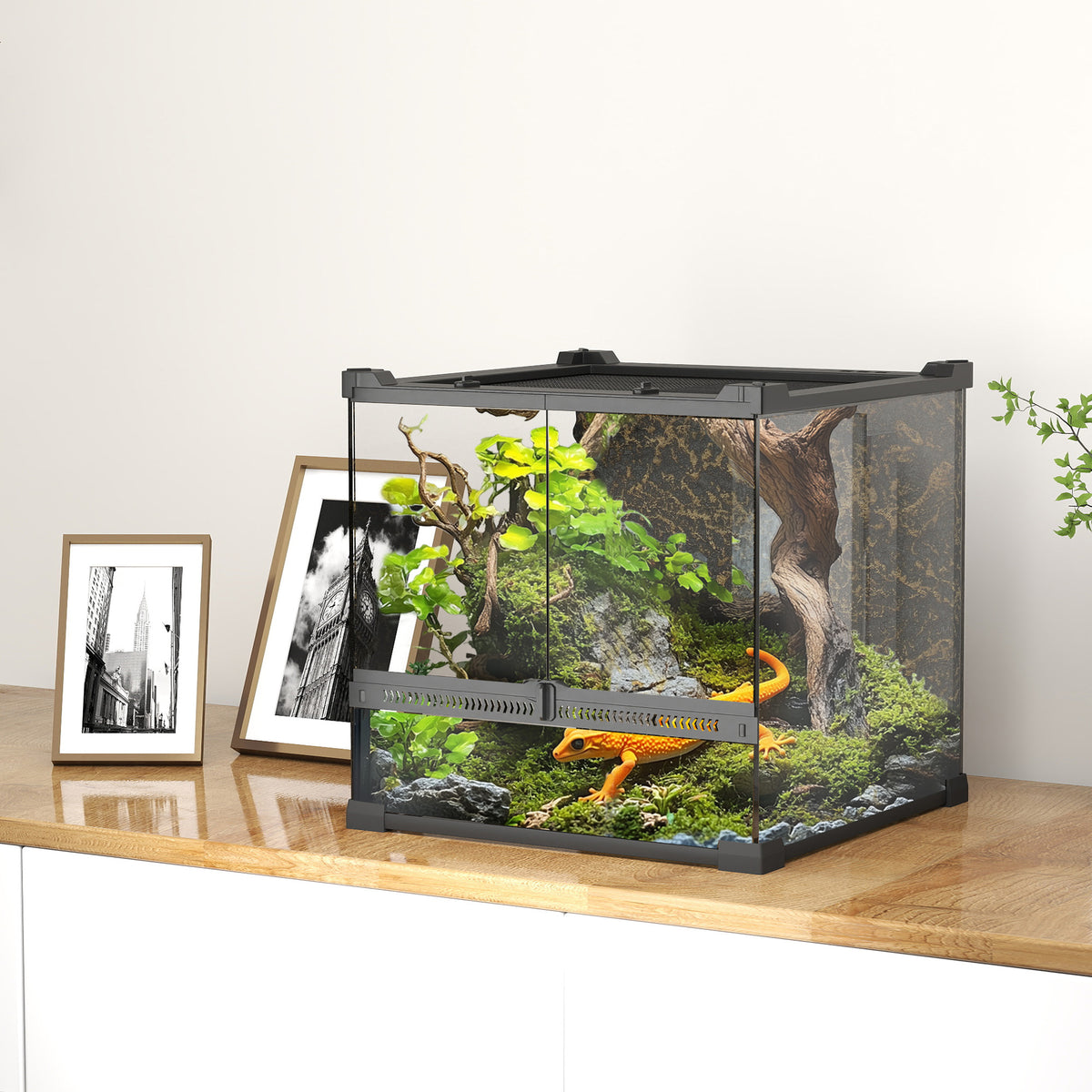 PawHut Glas-Terrarium für Reptilien, erhöhter & wasserdichter Boden, Knopfschloss – Produktabbildung 2