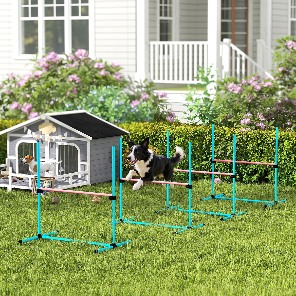 PawHut Agility Set Hunde 4-teiliges höhenverstellbar Agility-Ausrüstung mit 4 Hürden Tragetasche 99 x 65 – Produktabbildung 2