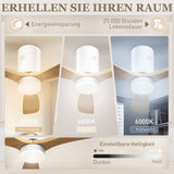 Ceiling fan with LED light, 6 speeds, remote control, light brown (4)