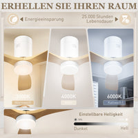 Ceiling fan with LED light, 6 speeds, remote control, light brown (4)